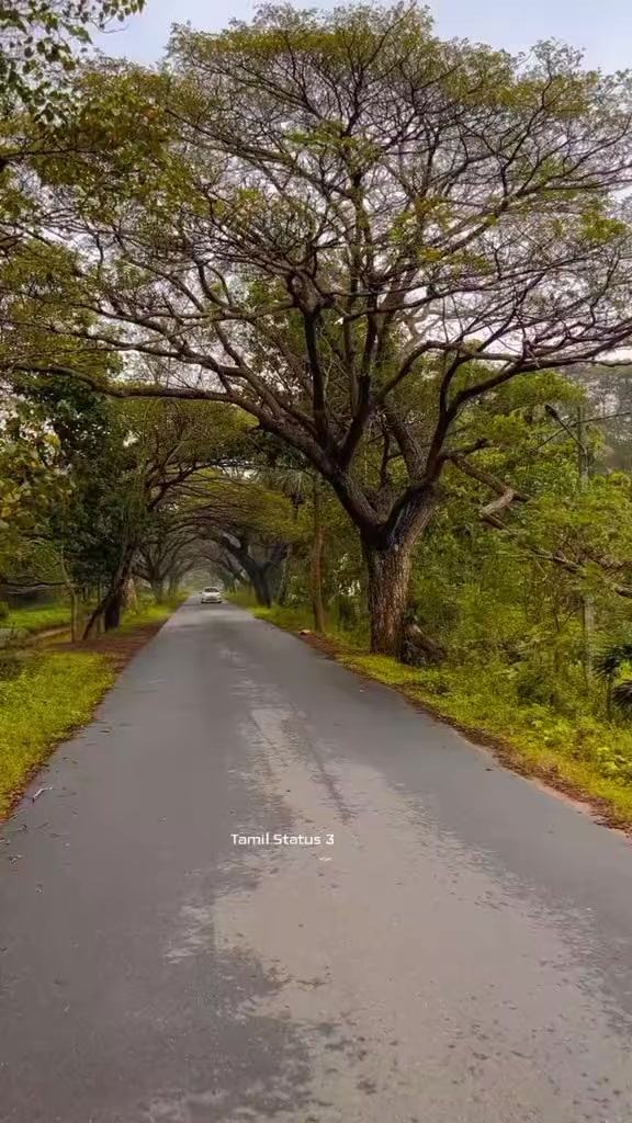 @Tamil Status 🇱🇰