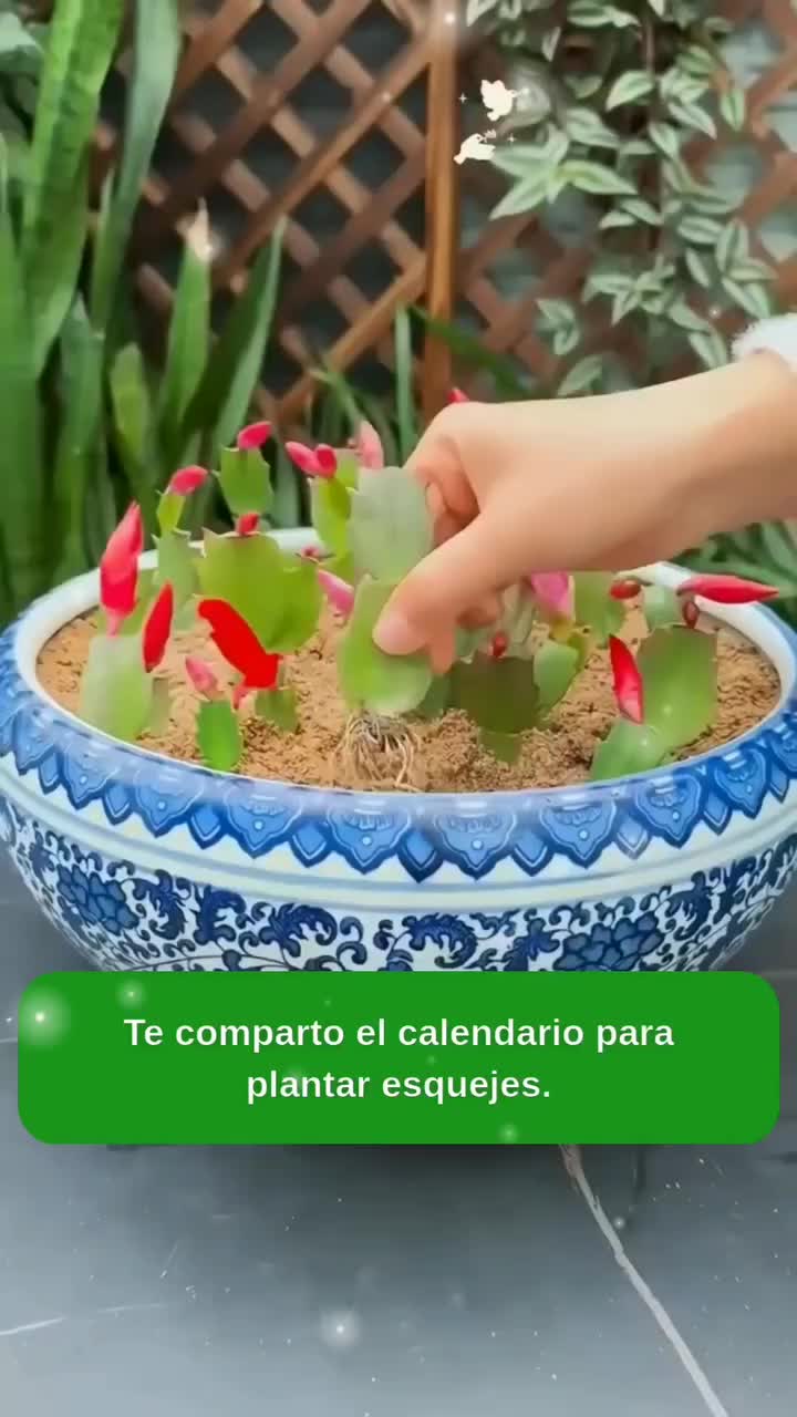 @MIJARDIN