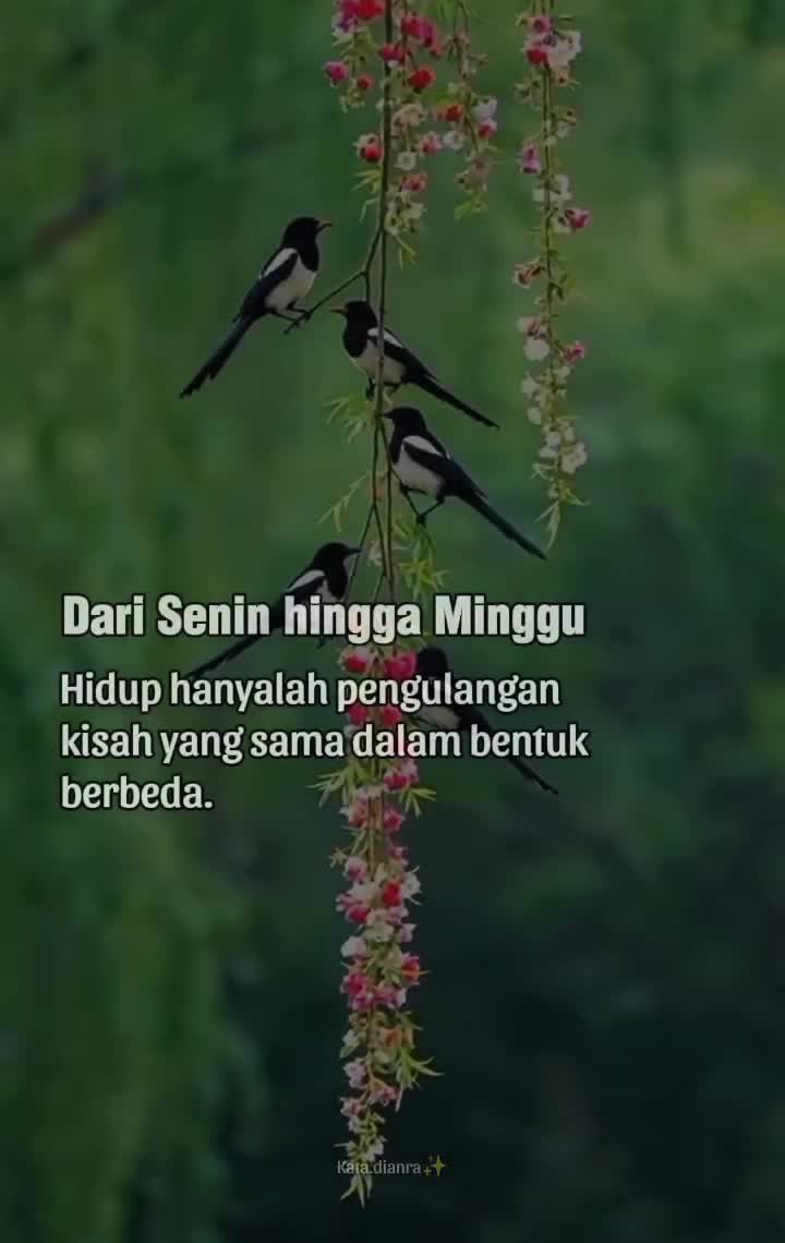 @Hamzah Yudi