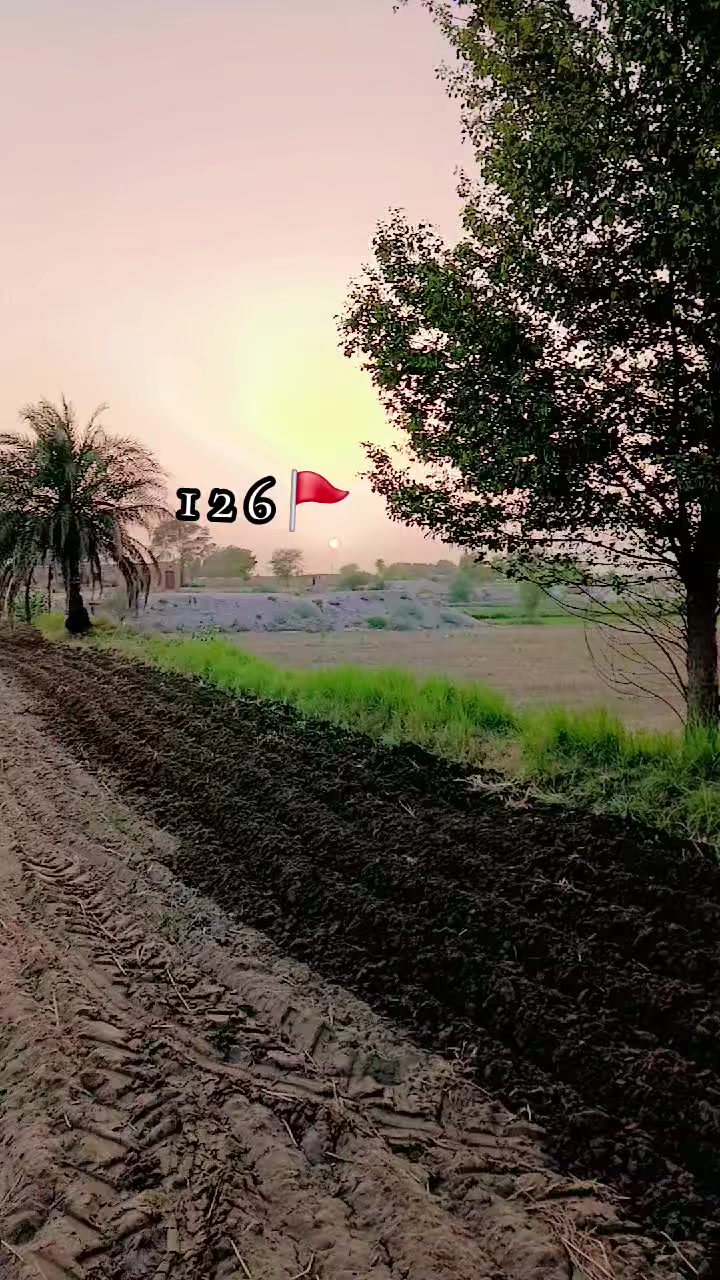 @USMAN 126🫀