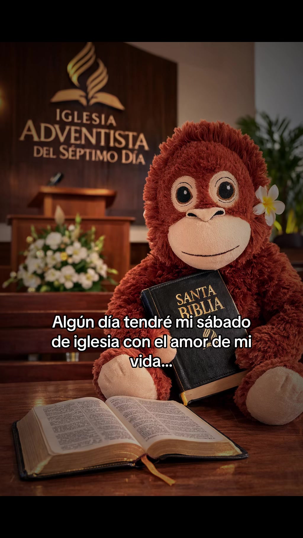 @Nini