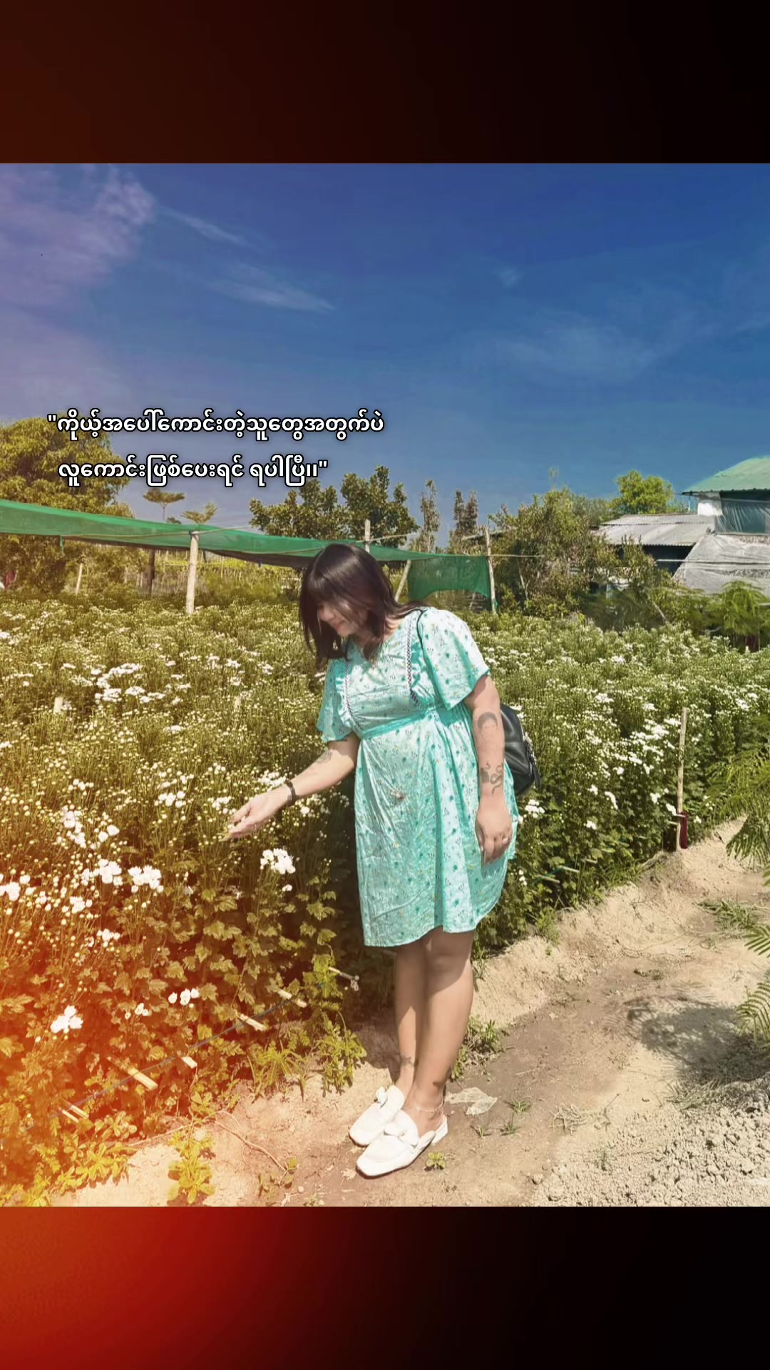@ဝမ်ဝမ်းမာမား(ဘုတ်ဘုတ်လေး)