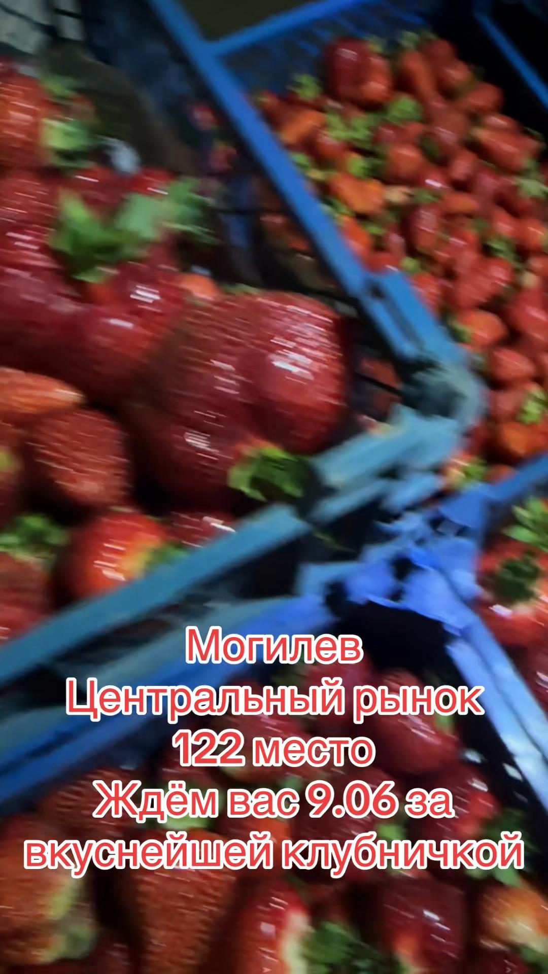 @Данута Манюк