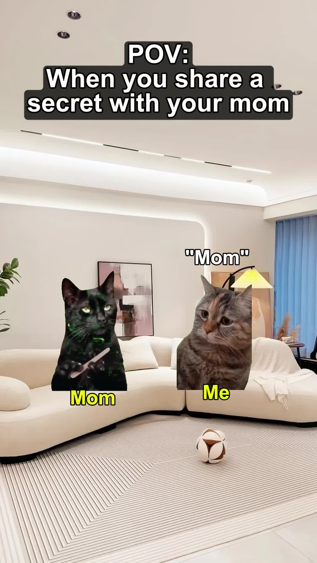 @Meme Meow 🐈🐈⬛