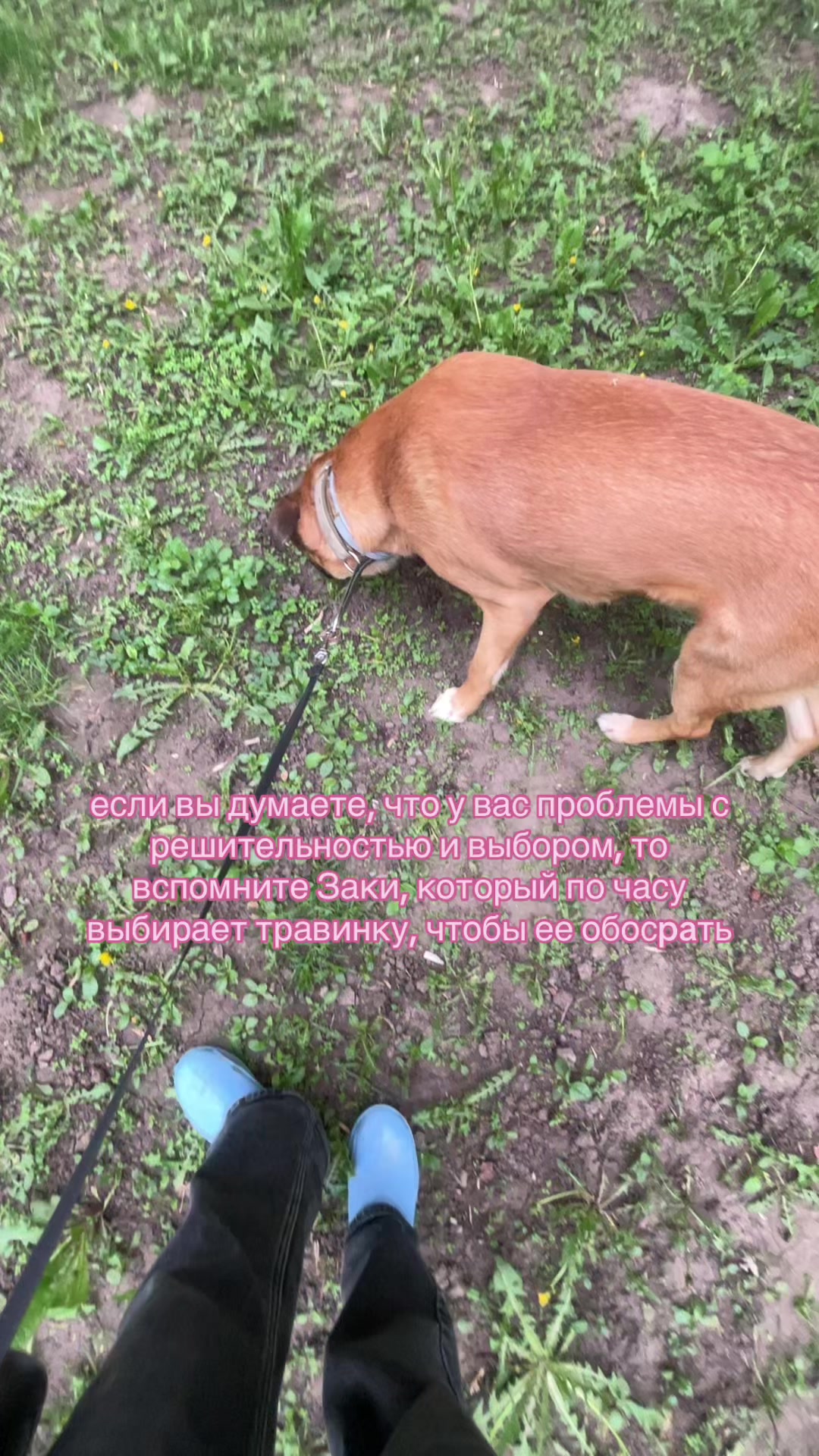 @Хаку 777