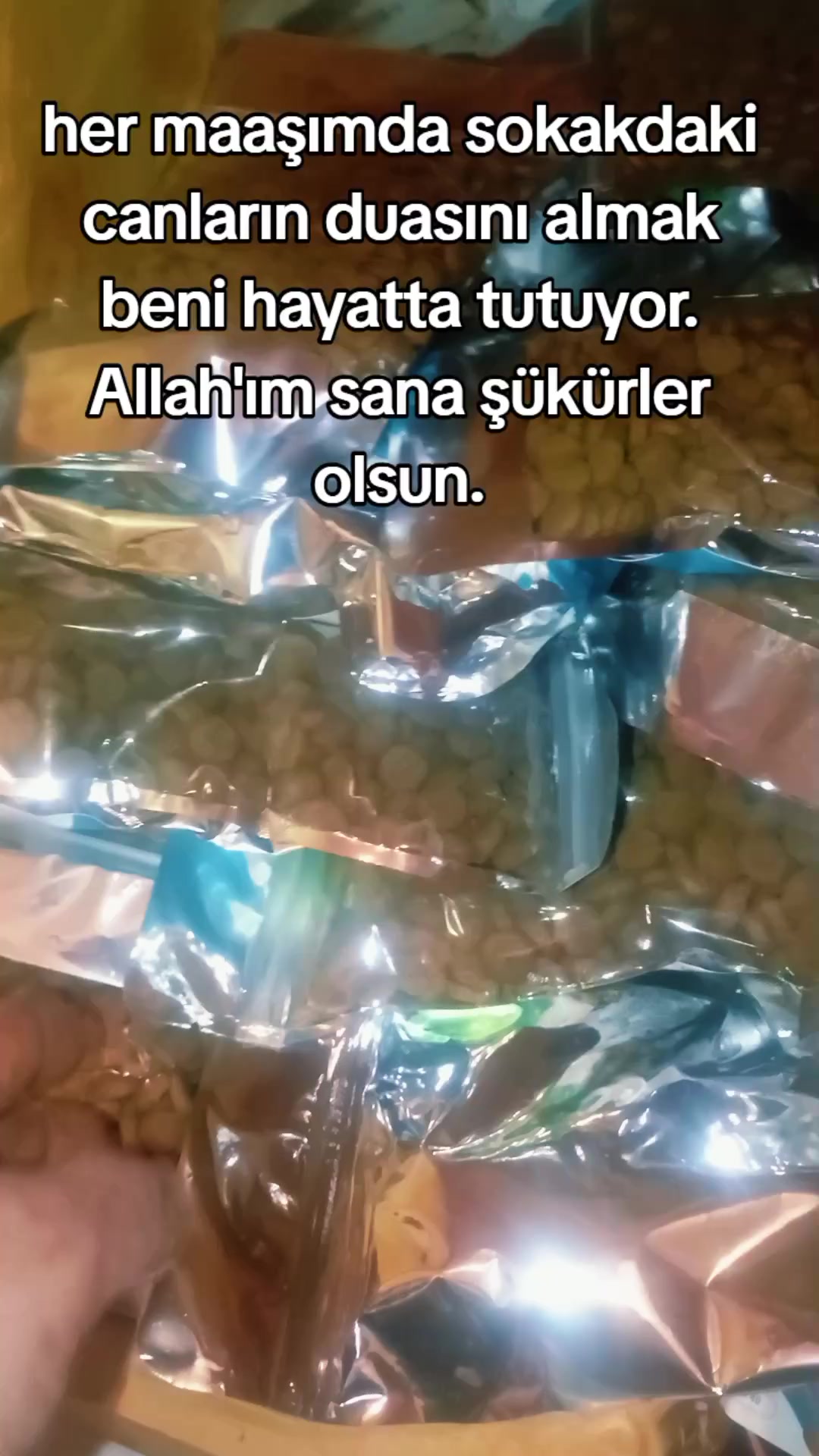 @&ccedil;amur