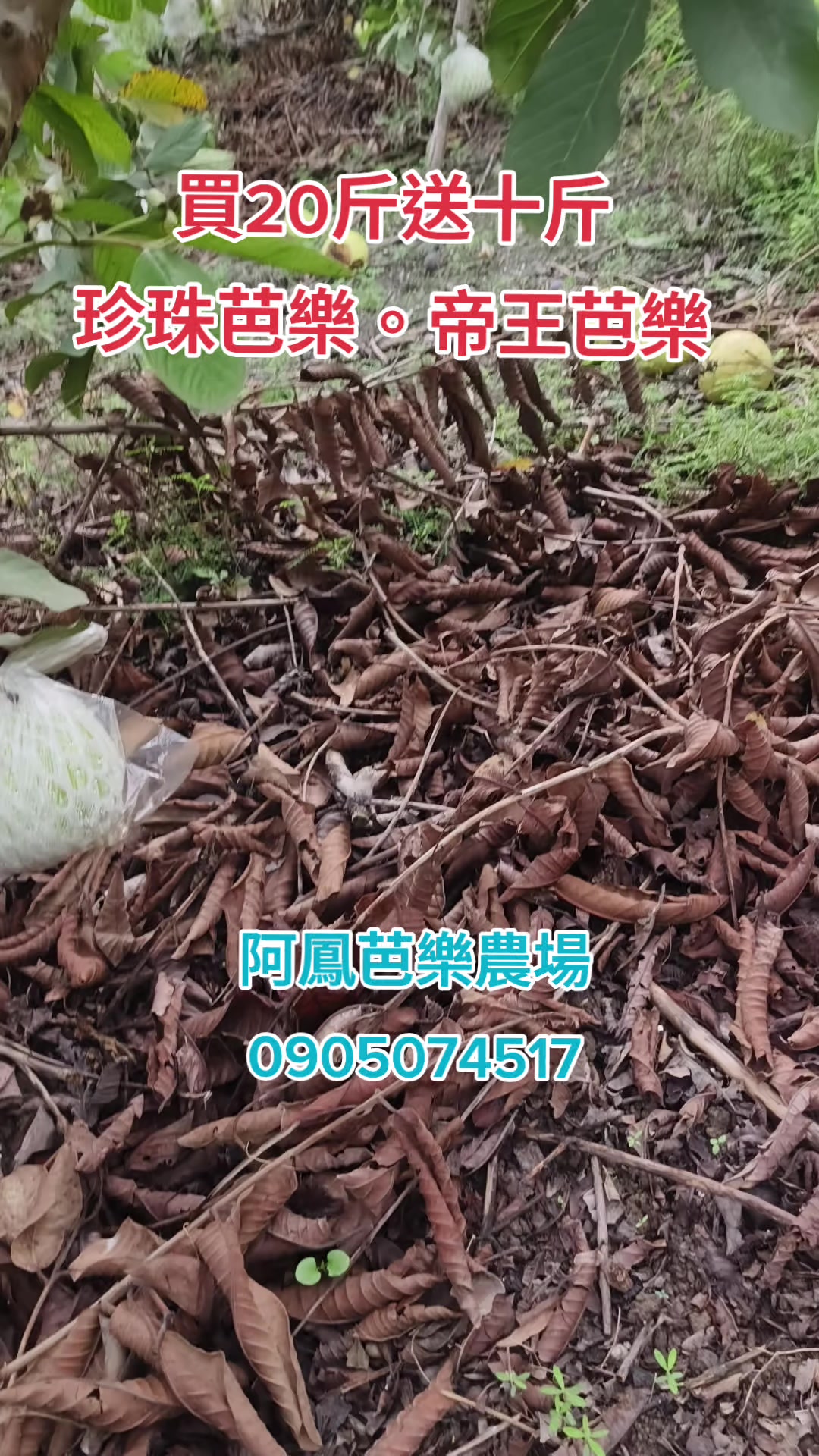 @阿軒