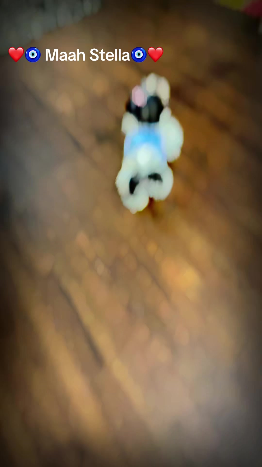 @beebagirl16