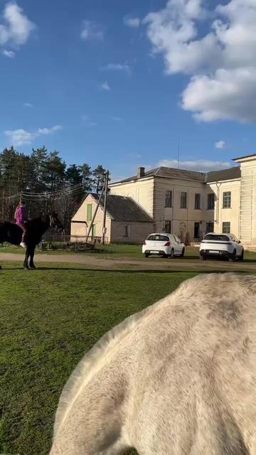 @КК "Фриз"🏇