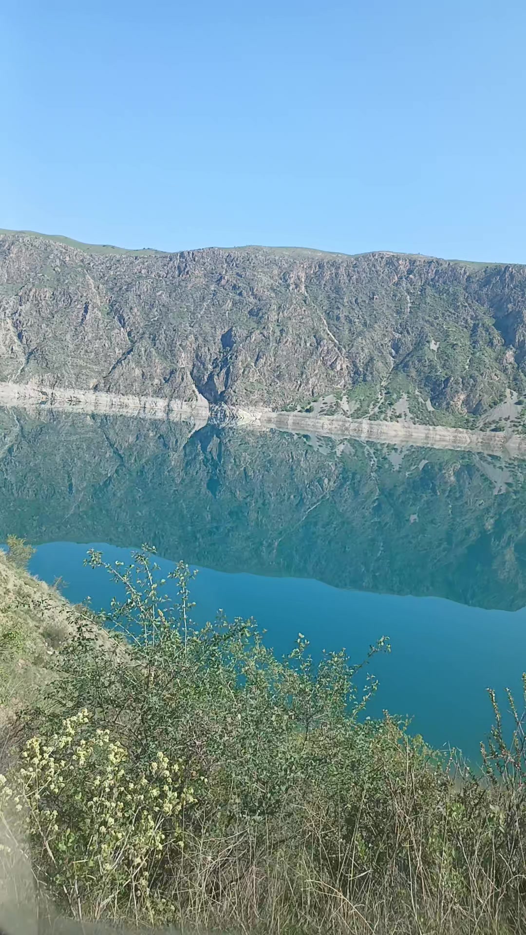 @медведь