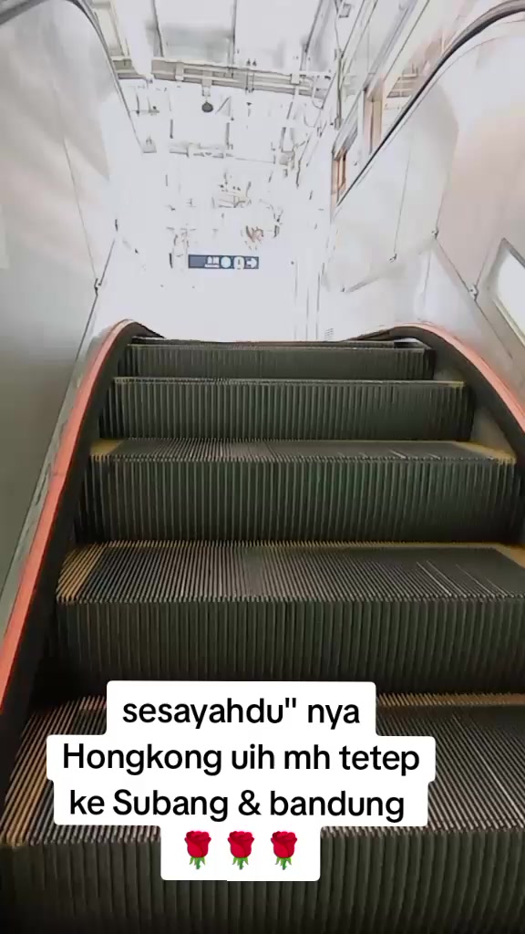 @teteh scorpio