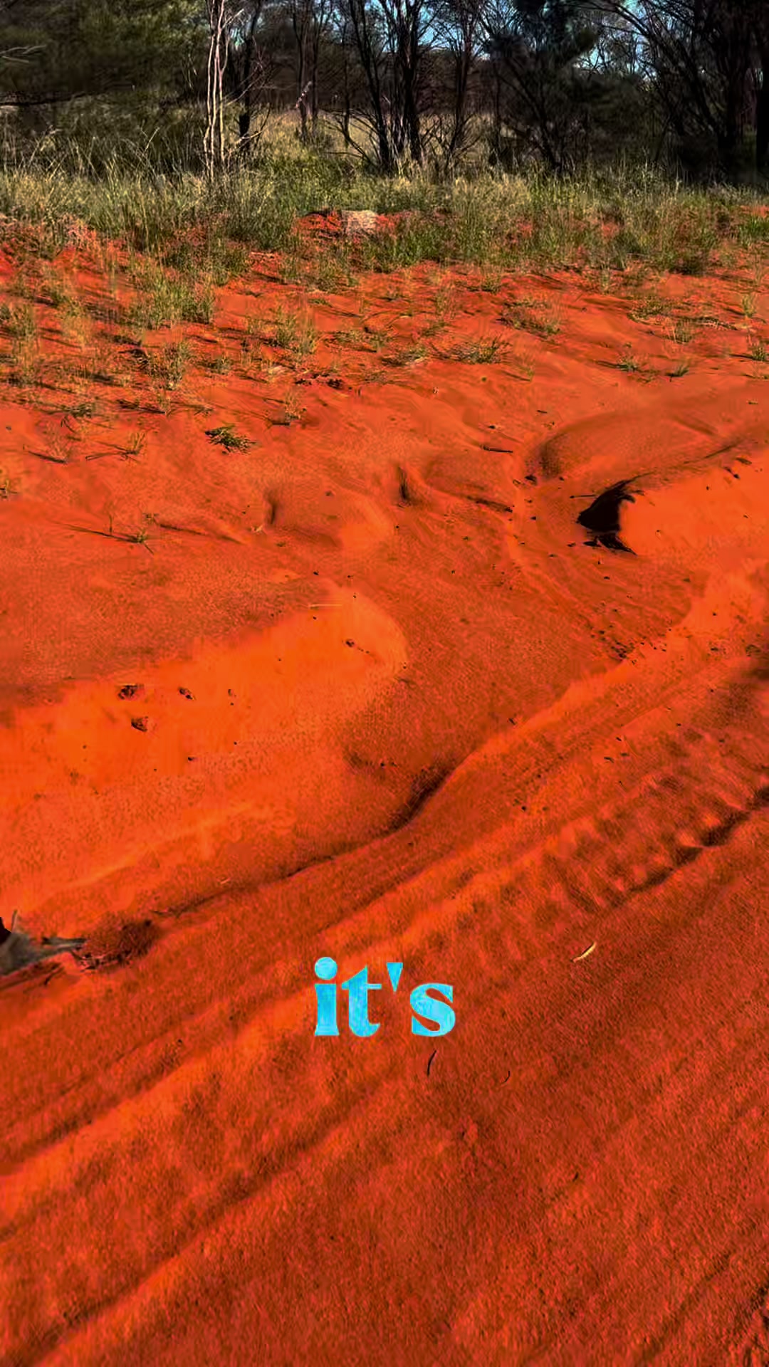 @TheOutbackRecycler