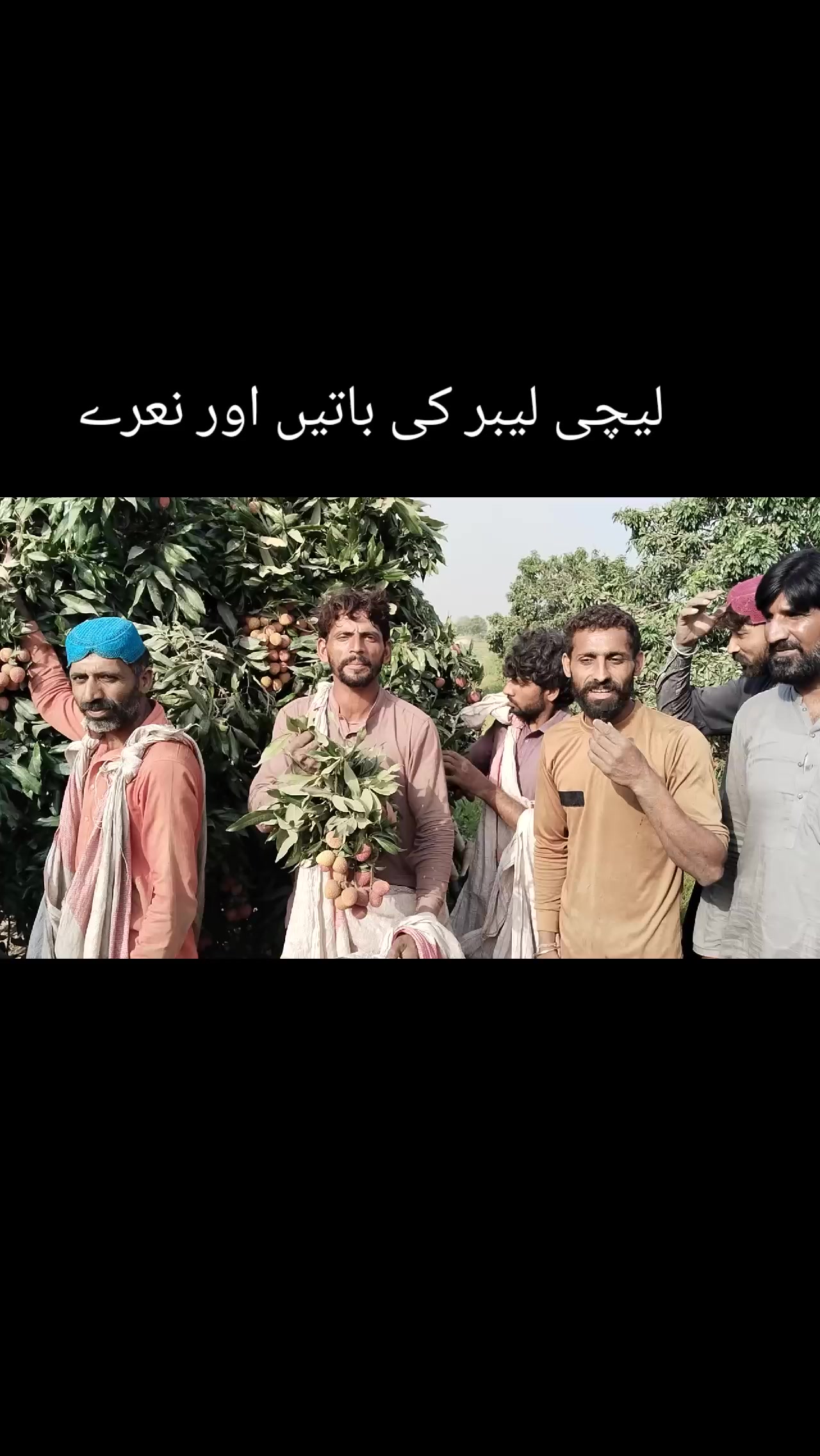 @Zaheer Farooqi