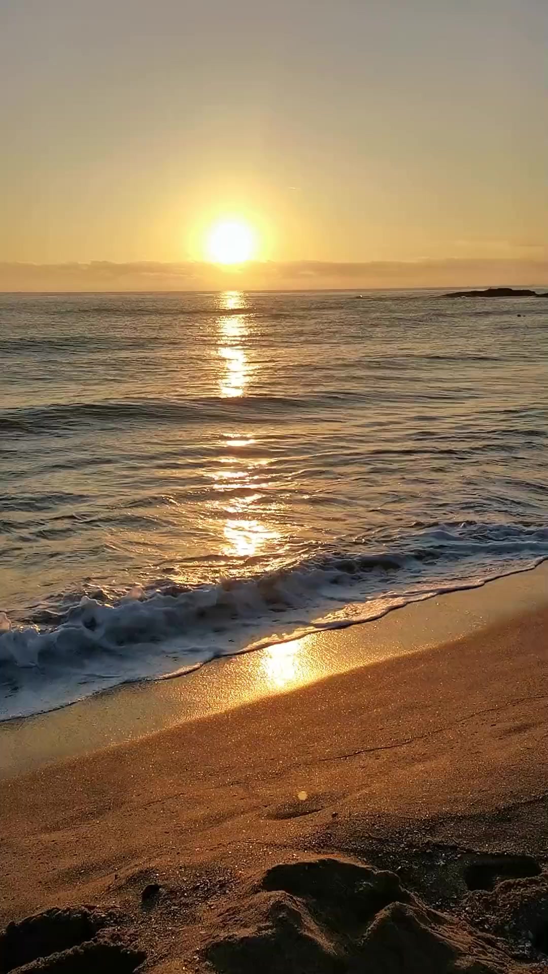 @Cogumelo