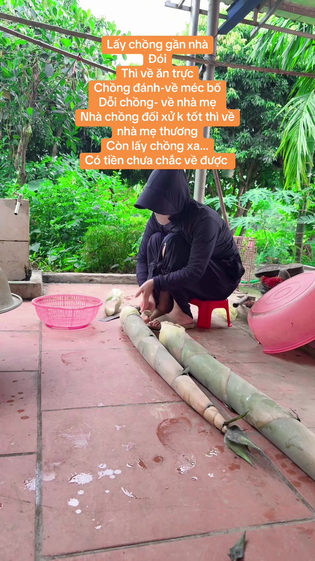 @Hoa Tuyết