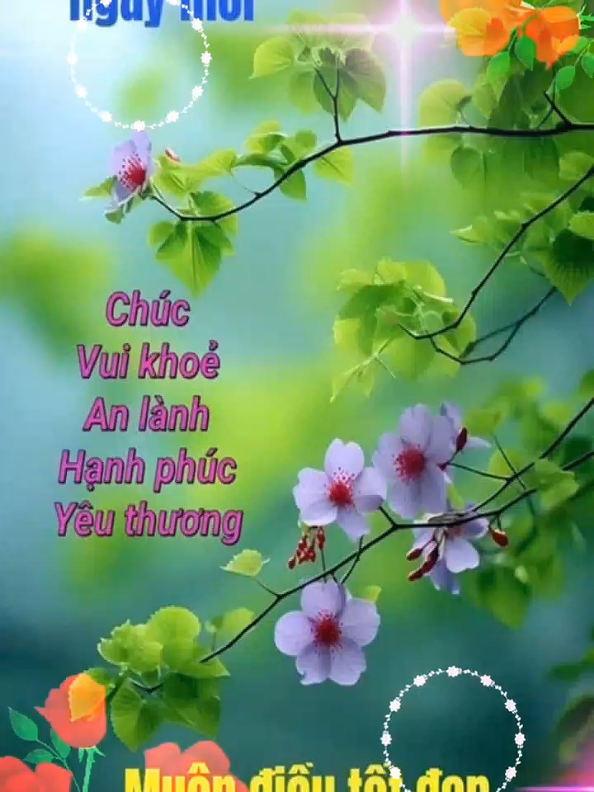 @Huỳnh Văn Được