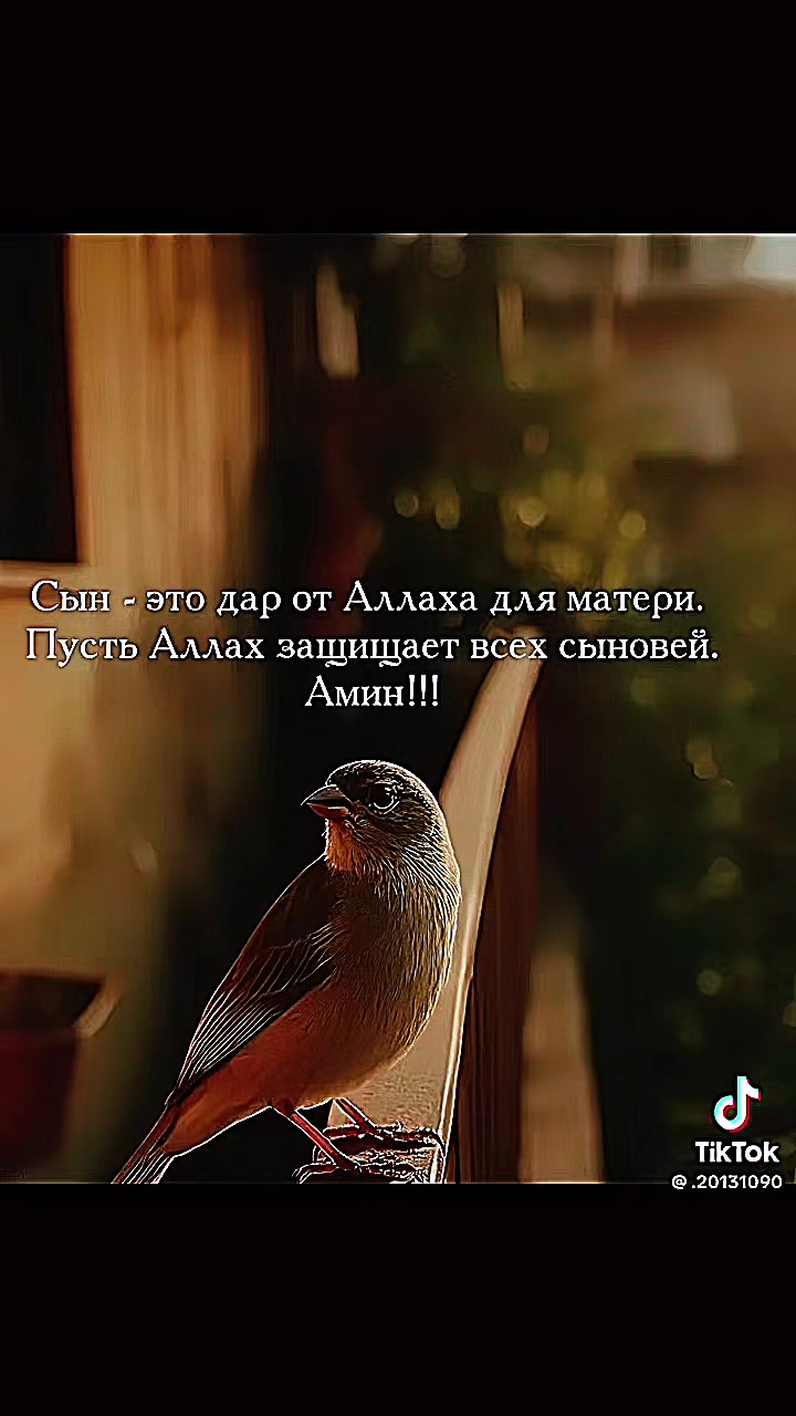 @Дильчонок