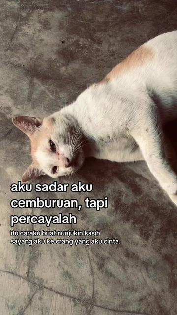 @fikarr