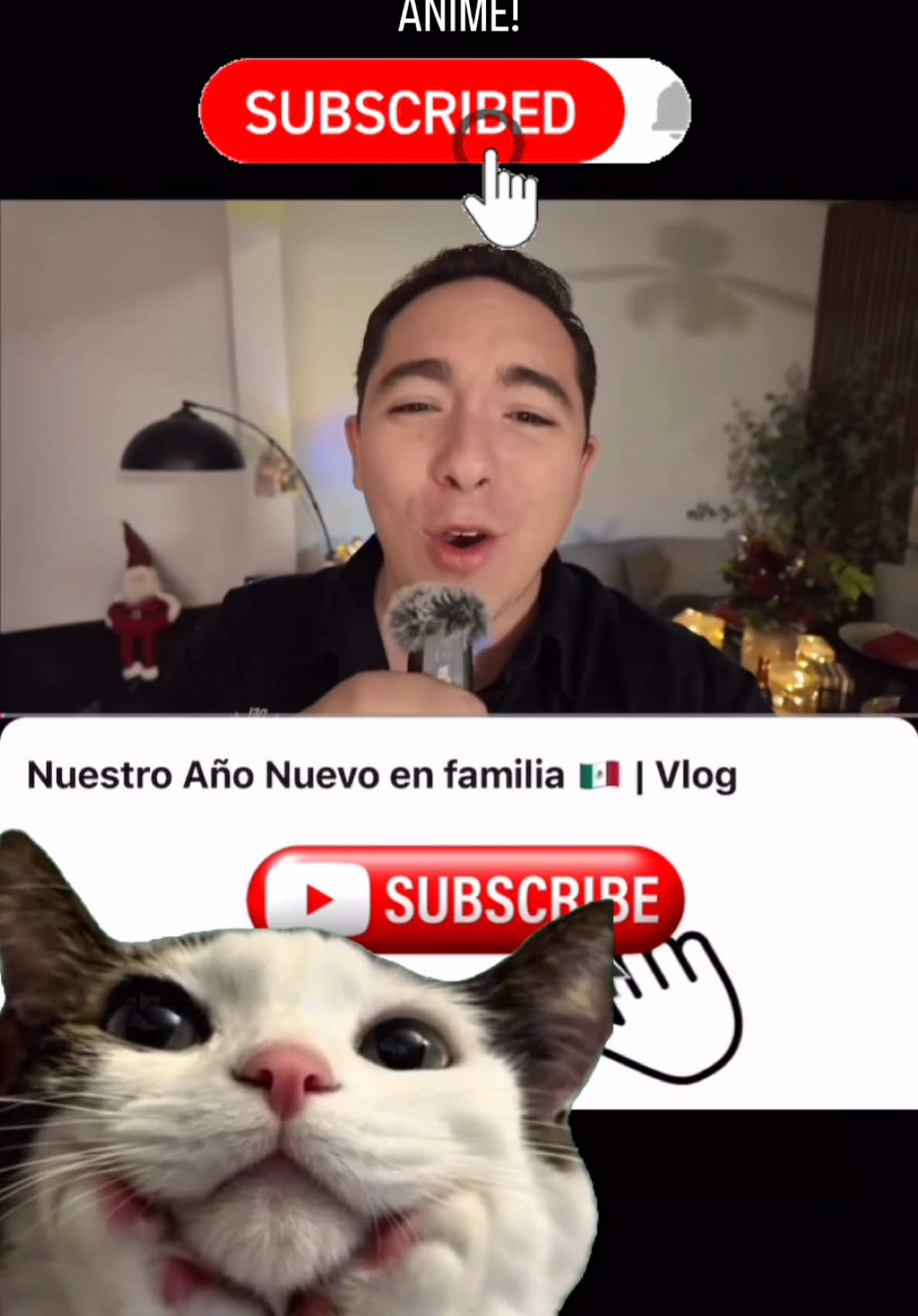 @Rafa de &Aacute;vila