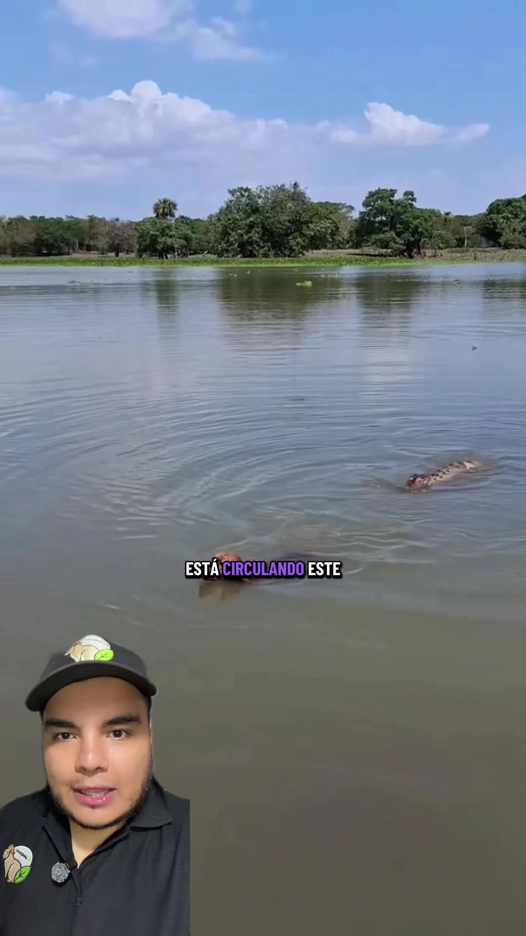 @Jair Herrera 🐆