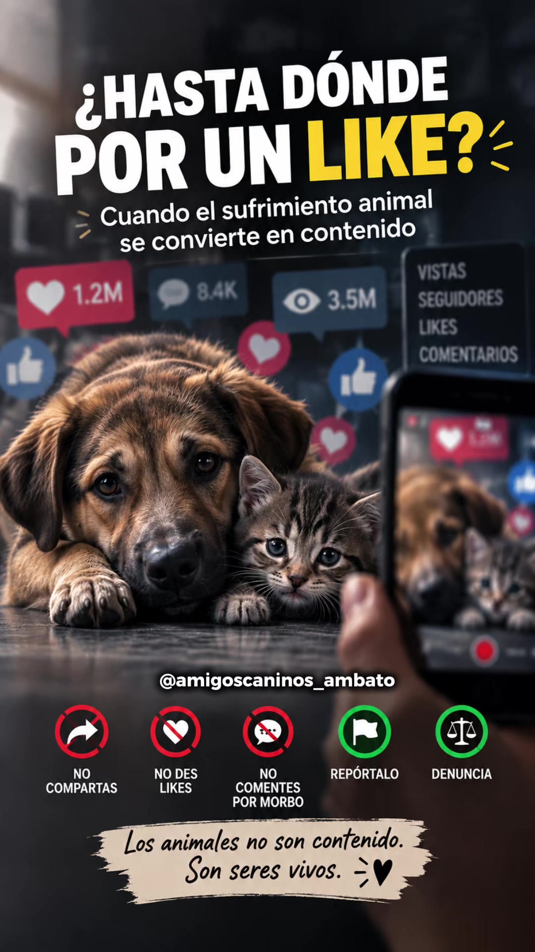@Amigoscaninos_Ambato
