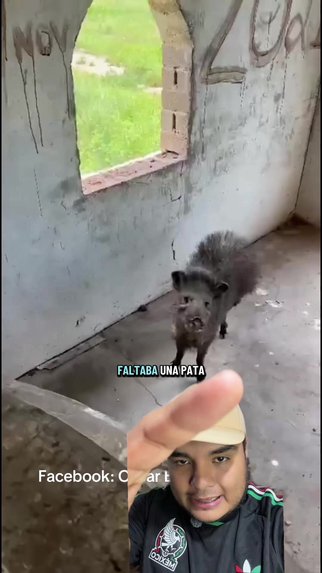 @Jair Herrera 🐆