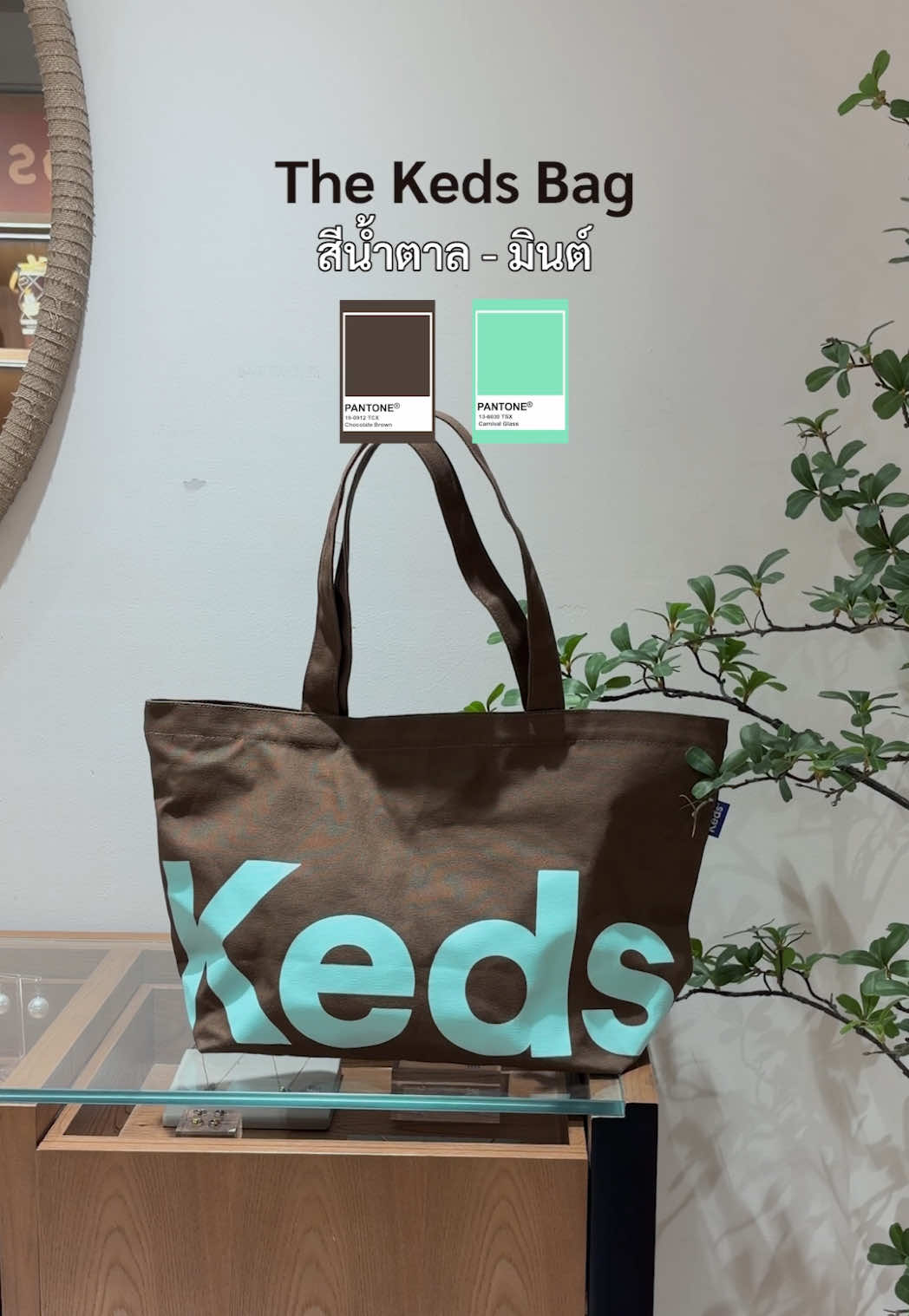 @kedsthailand