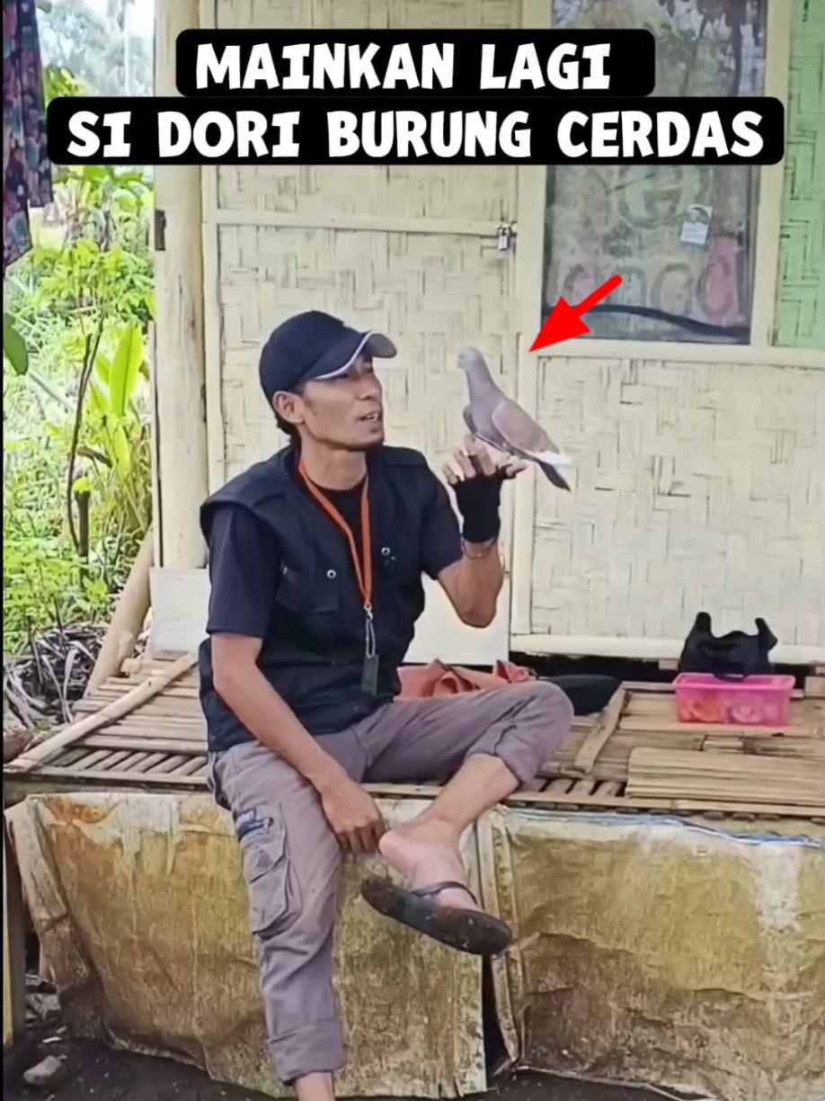 @BANG LEYON