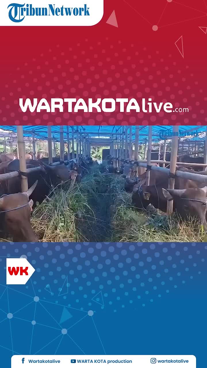@Warta Kota