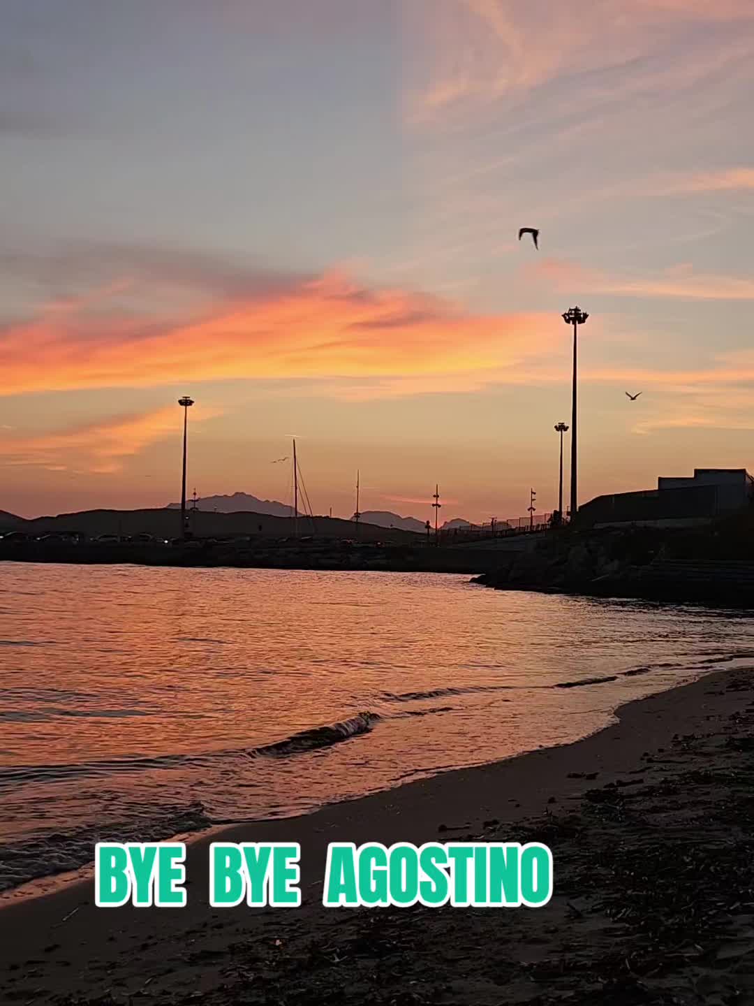 @MARIA TAGLIAFIERRO