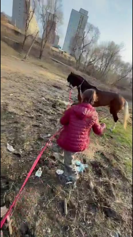 @🐴🤎