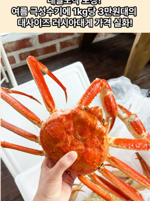@킹크랩 대게 동해수산유통