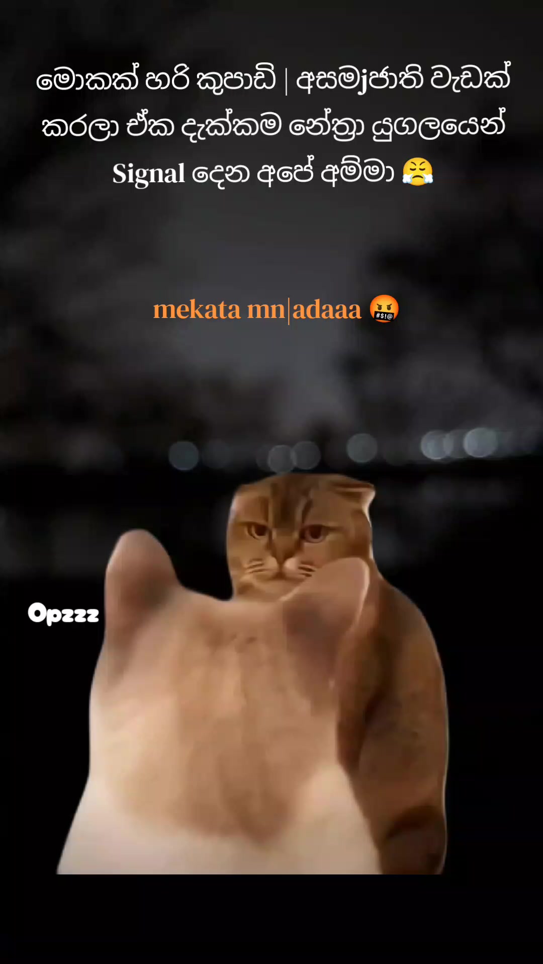 @𝑂𝑝𝑧𝑧𝑧