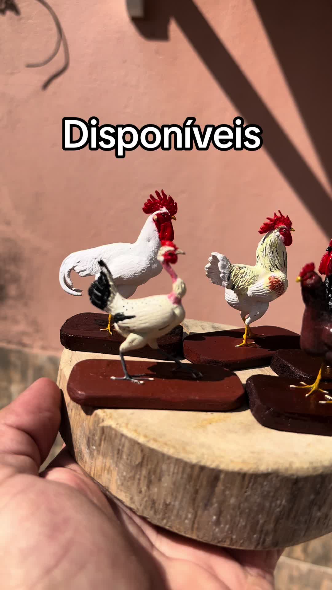 @Raízesdosertão