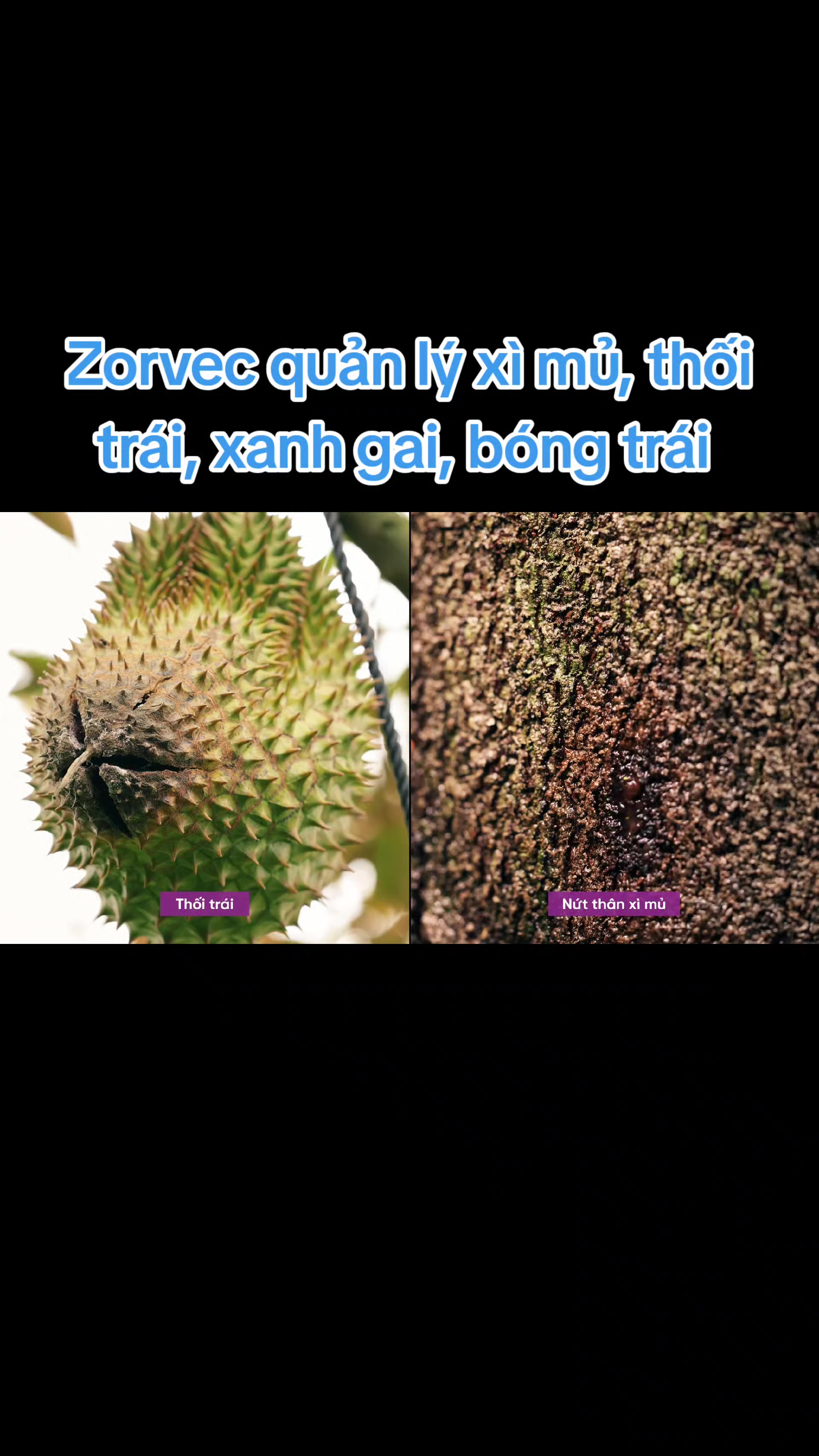 @VTNN Minh Tuấn
