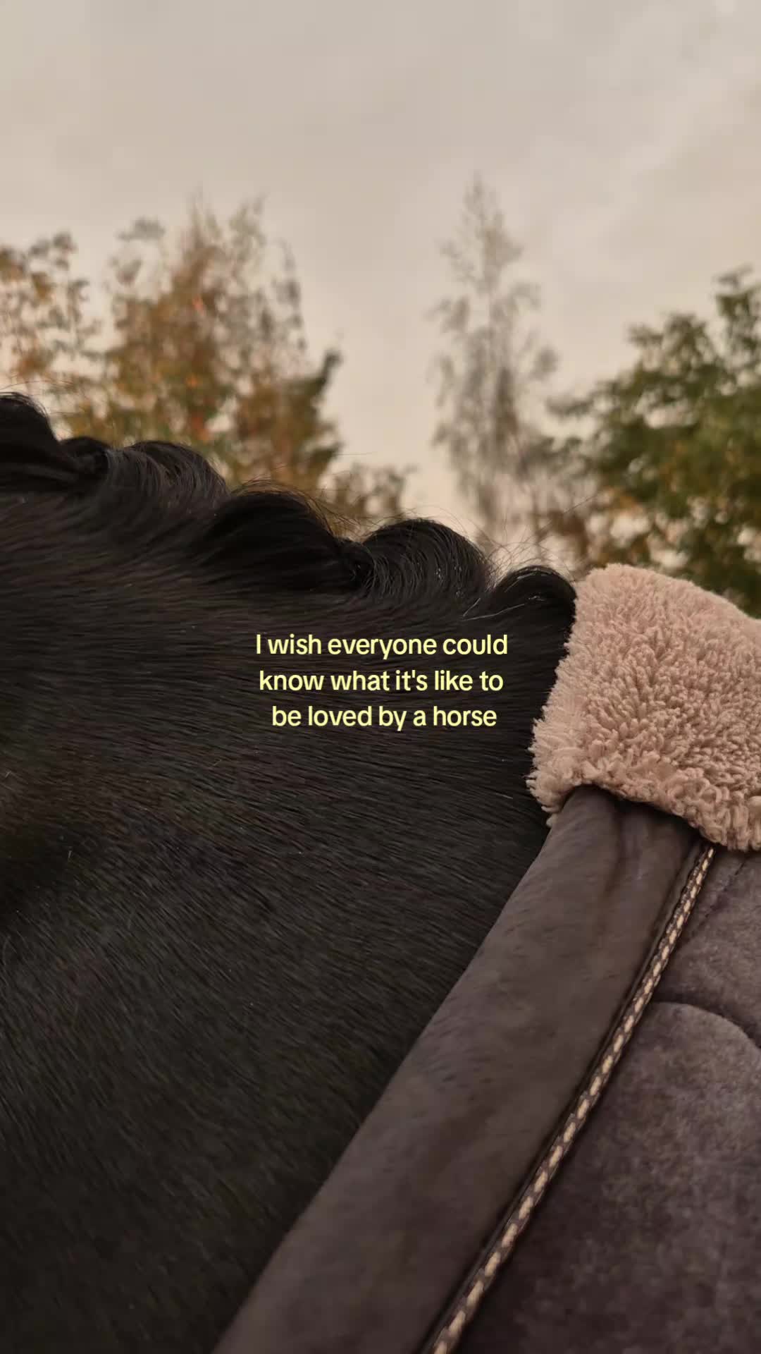 @romyundwilli