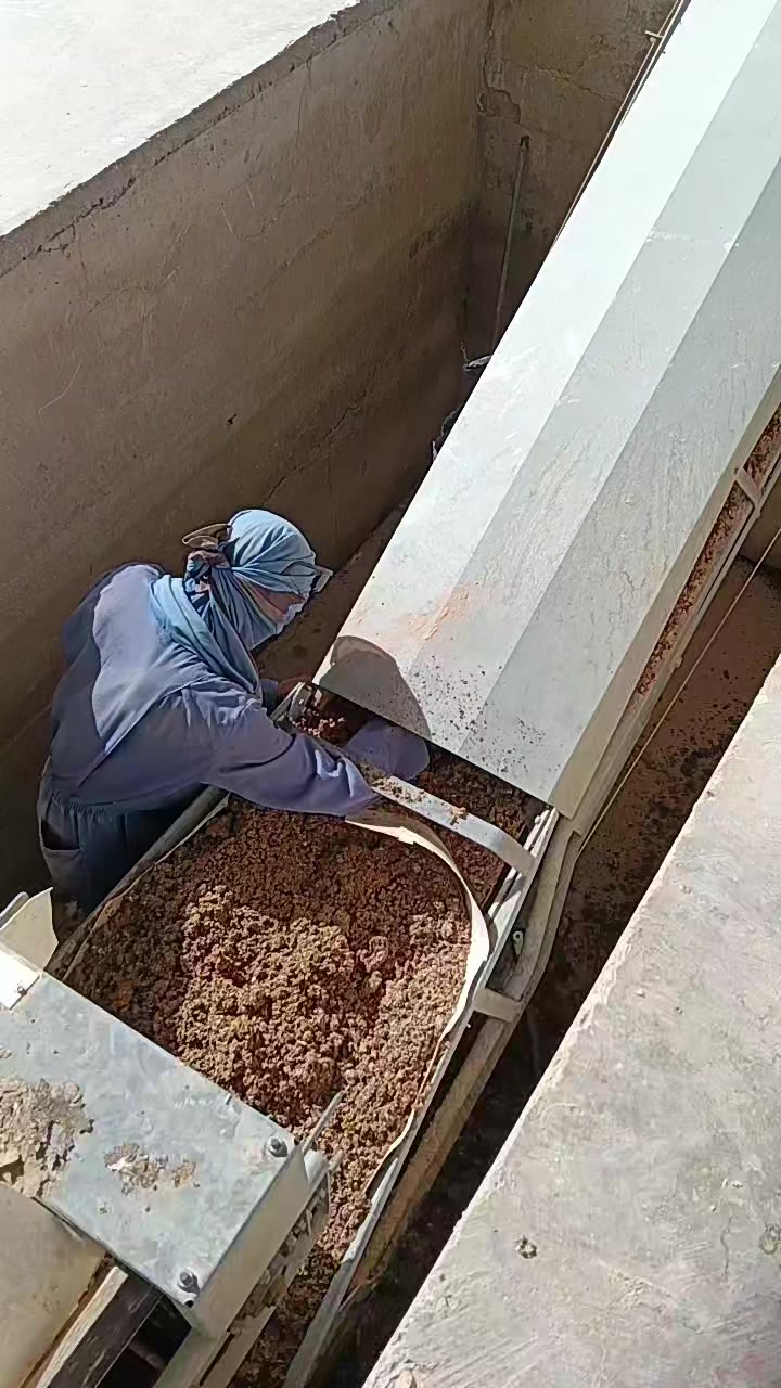 @poultryboy🇸🇦🇵🇭