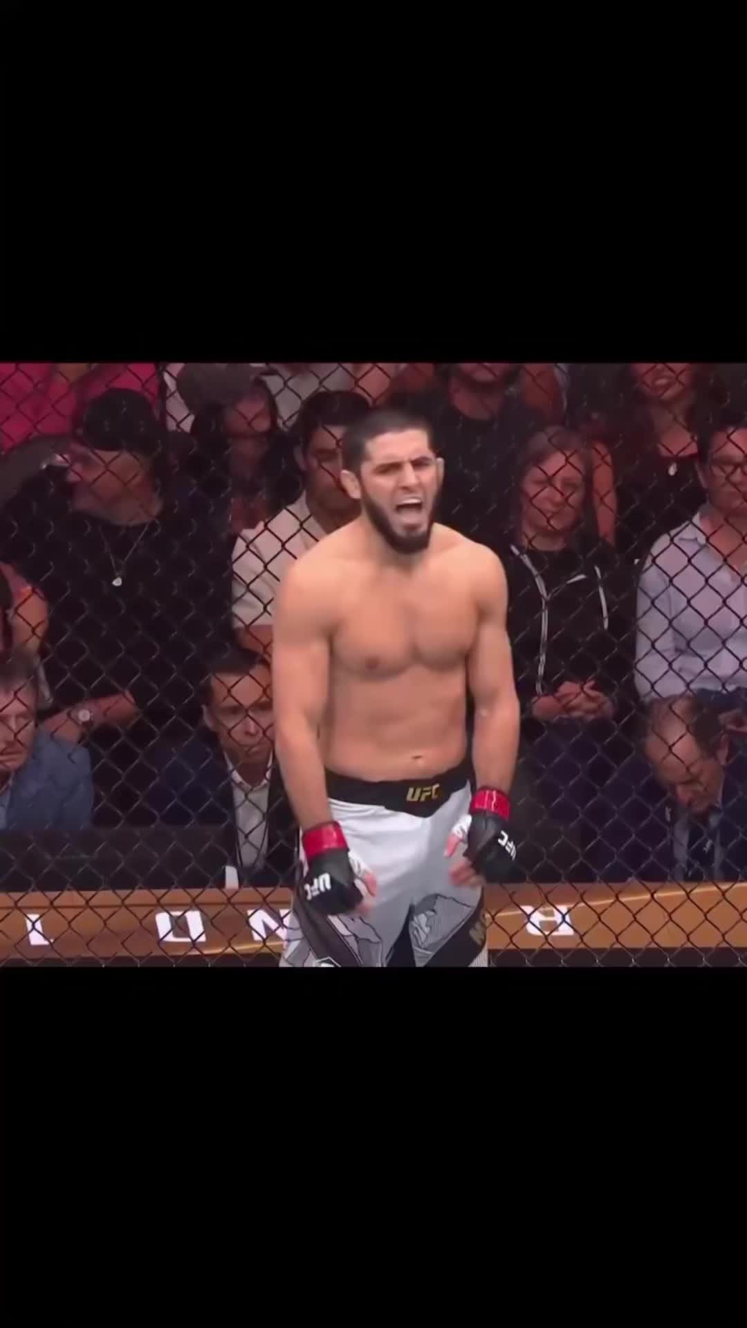 @UFC UZBEKISTAN