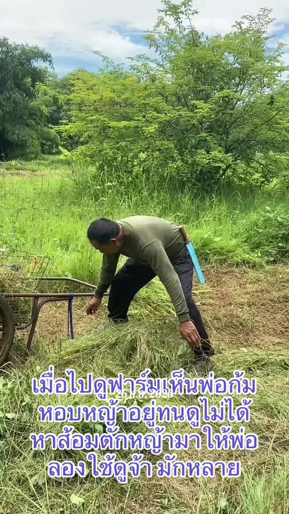 @นัดดาชอป