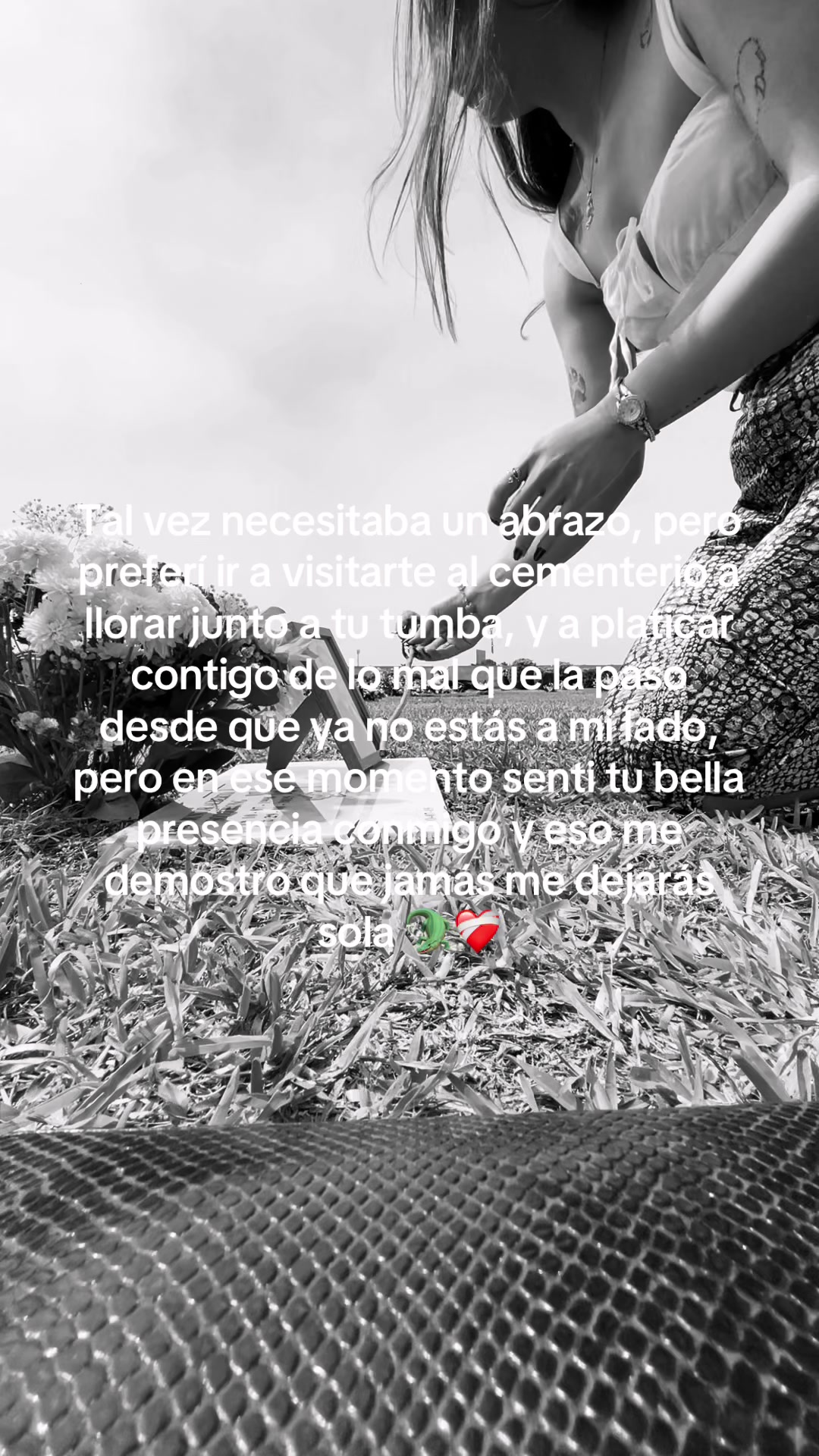 @Brey🦋