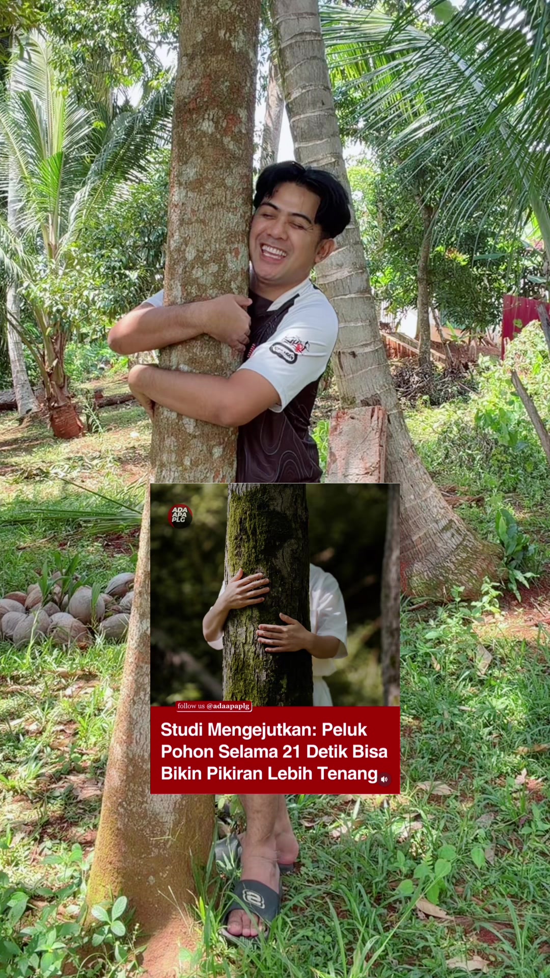 @sirladang 👨&zwj;🏫🐂