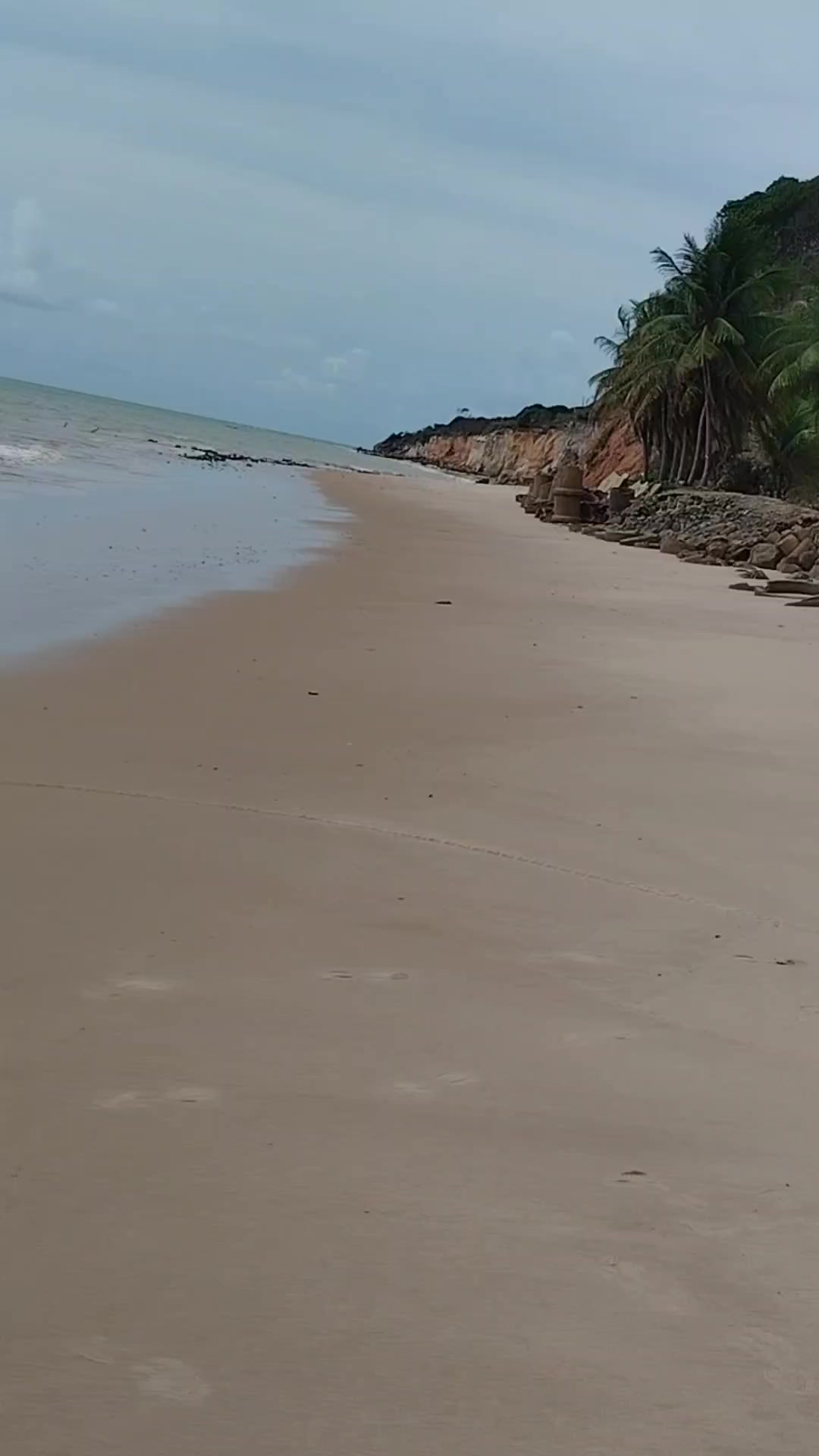 @Alex_1998_