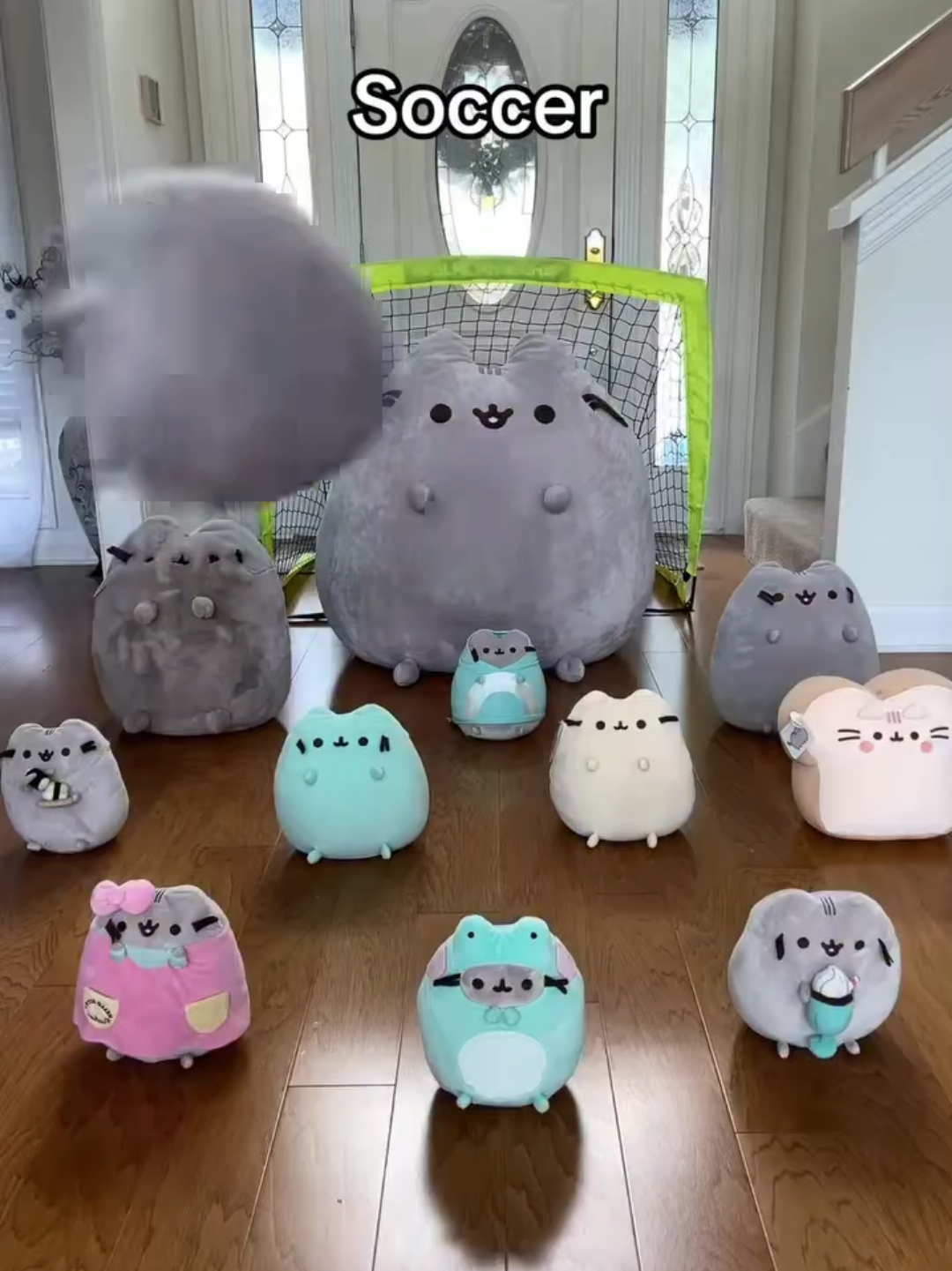 @Chonky World Of Cats