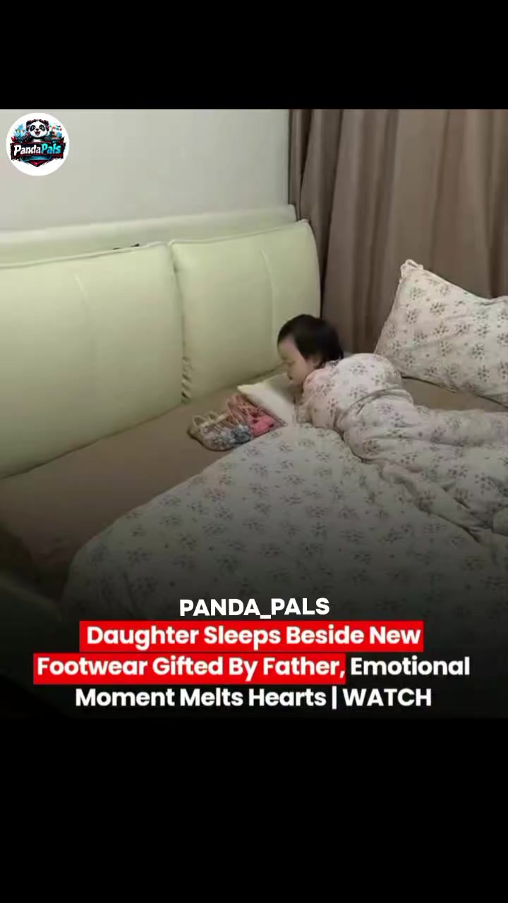 @PandaPals