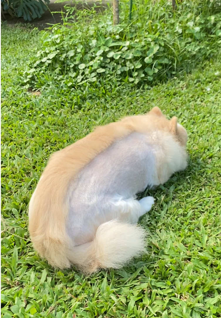 @กะปุก..งอกเงยดีคาเฟ่ เชียงราย