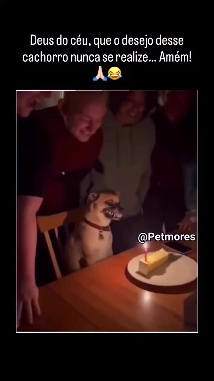 @VibesDaFe