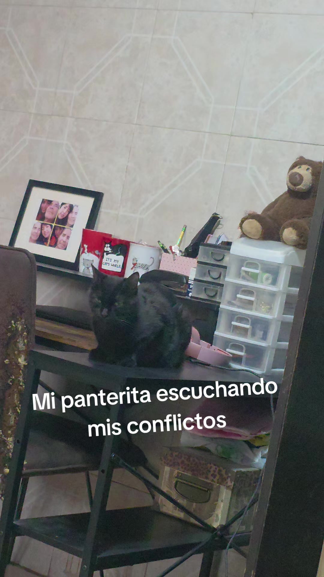 @🦋tA𝐋ⓘ𝐓𝐀🦋 | MIS GATOS Y YO