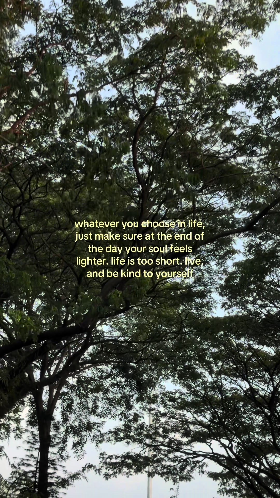 @something i couldn&rsquo;t say