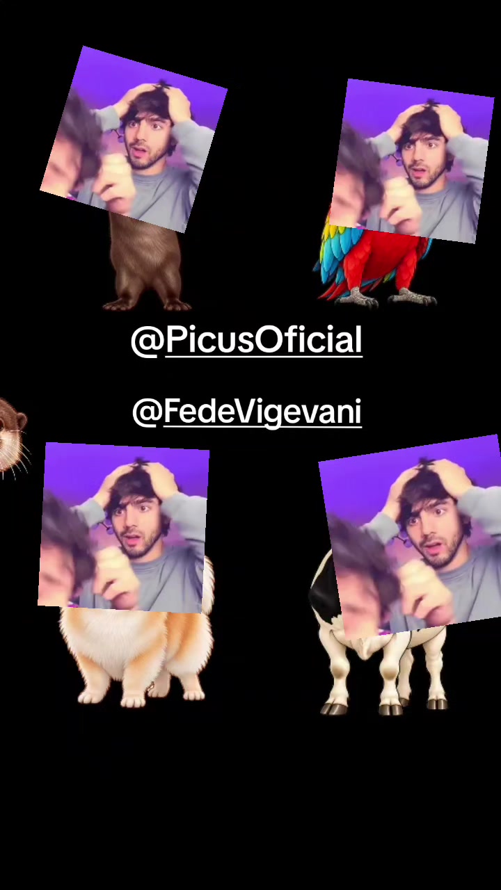 @🌳FAN DE FEDE🌳
