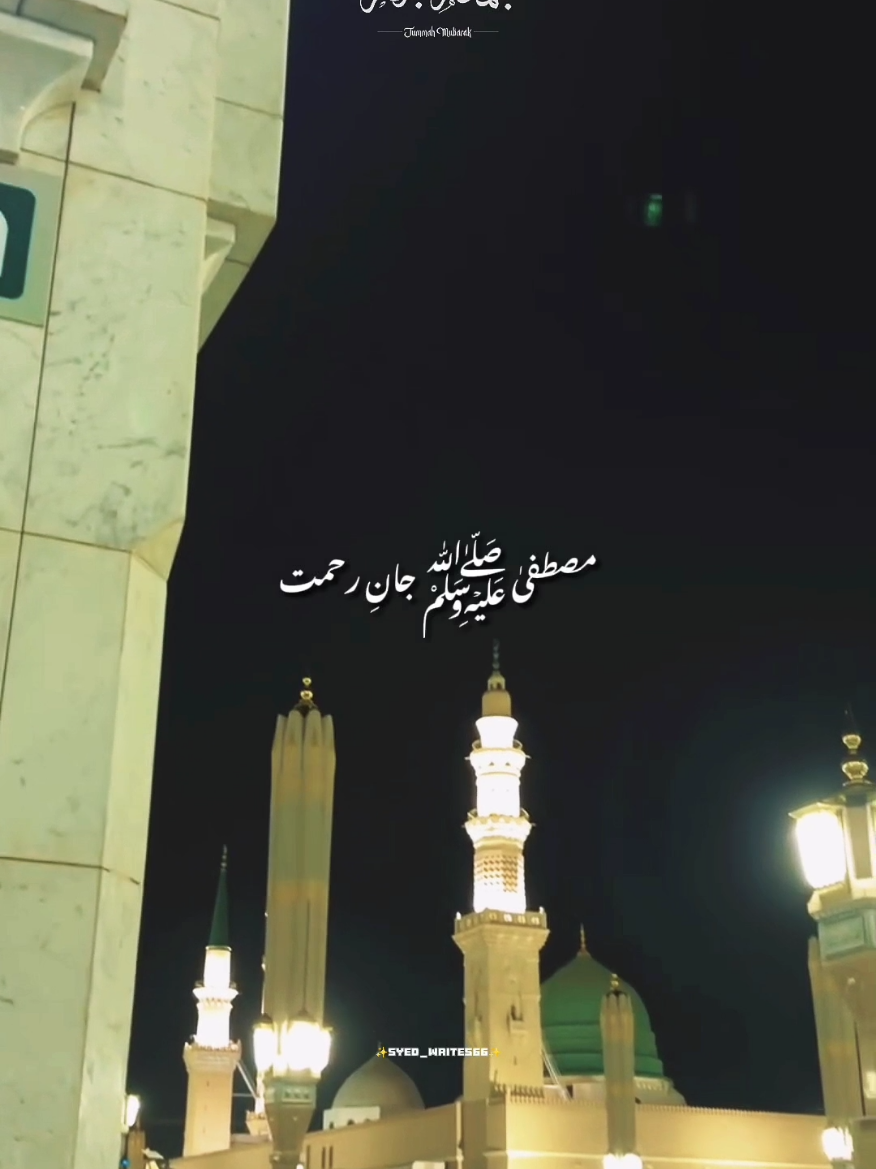@✨𝗦𝘆𝗲𝗱 𝗪𝗿𝗶𝘁𝗲𝘀✨